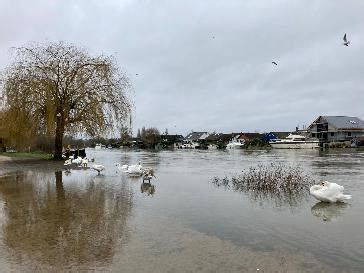 bbc weather normandy surrey england.
